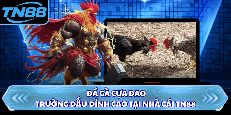Đá Gà Cựa Dao - Trường Đấu Đỉnh Cao Tại Nhà Cái TN88
