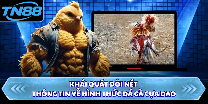 Khái quát đôi nét thông tin về hình thức đá gà cựa dao