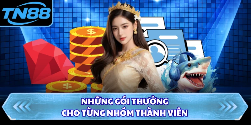 Những gói thưởng cho từng nhóm thành viên