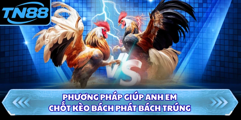 Phương pháp giúp anh em chốt kèo bách phát bách trúng