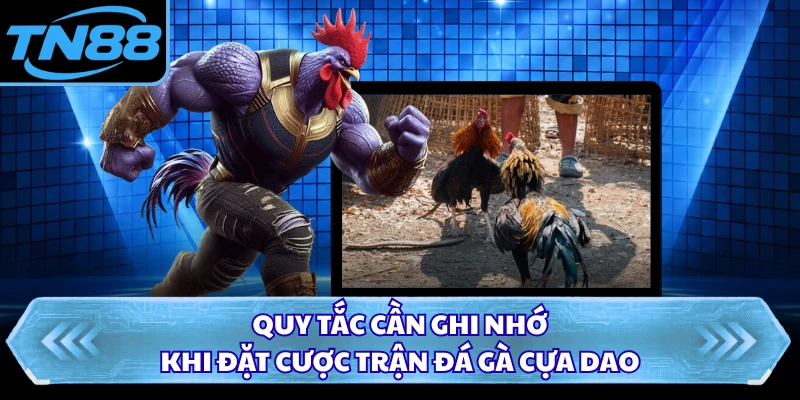 Quy tắc cần ghi nhớ khi đặt cược trận đá gà cựa dao